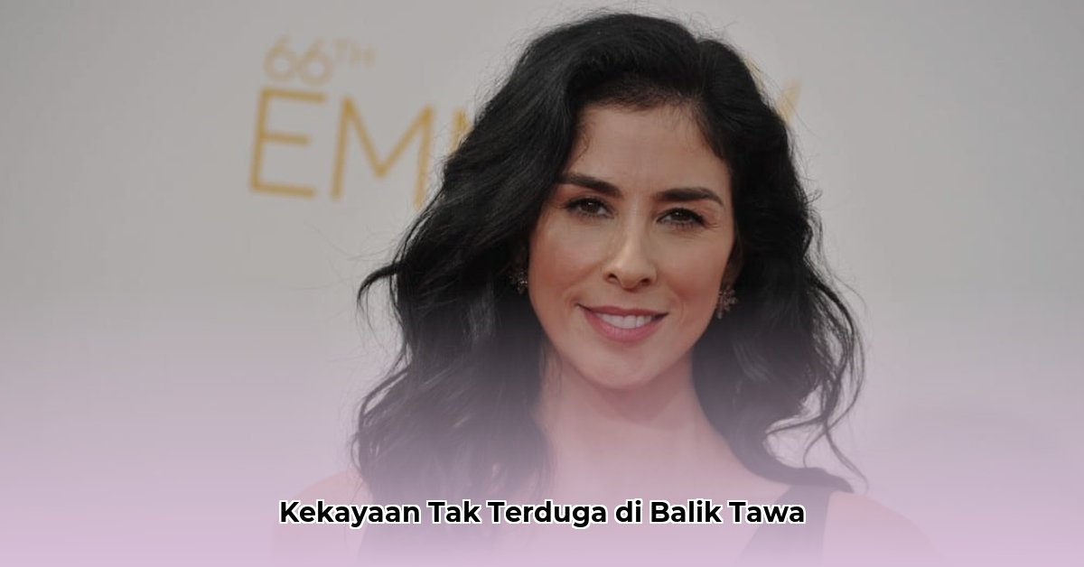 sarah silverman net worth